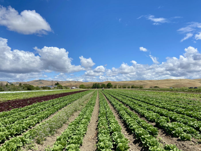 The “Sweet Spot” for Farms to Enhance On-farm Biodiversity 