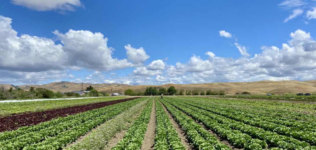 The “Sweet Spot” for Farms to Enhance On-farm Biodiversity