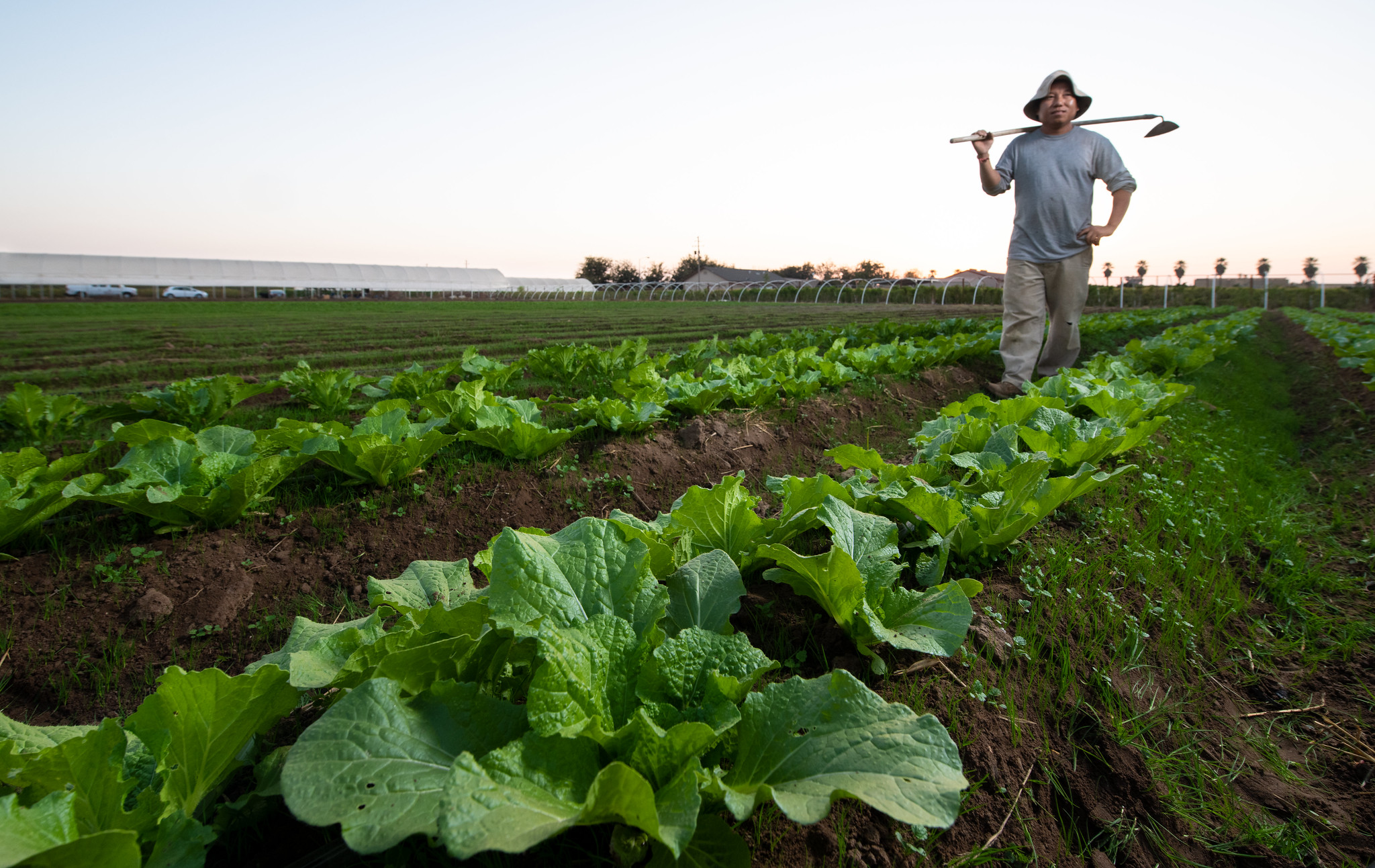 More Than $27 Million in Grants Awarded to Support Historically Underserved Farmers 
