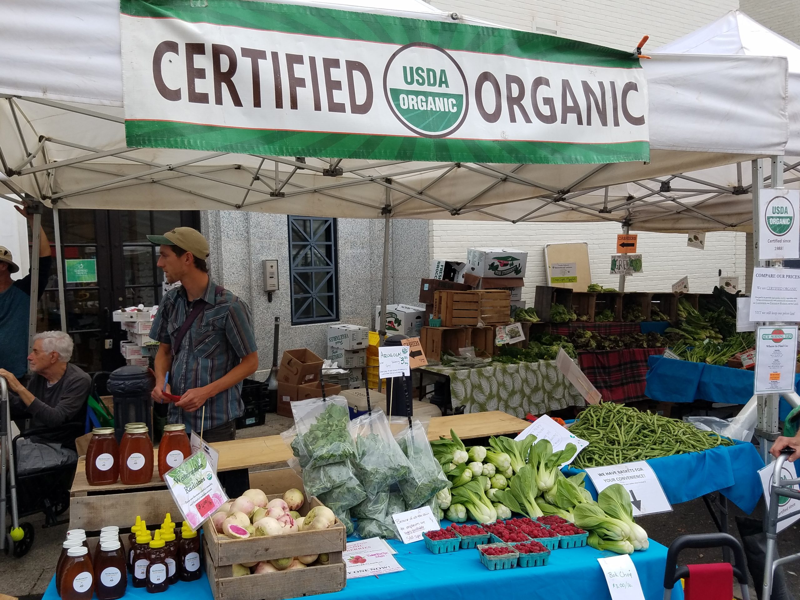 Funding Now Available for Organic Transition and Certification Cost-Share 