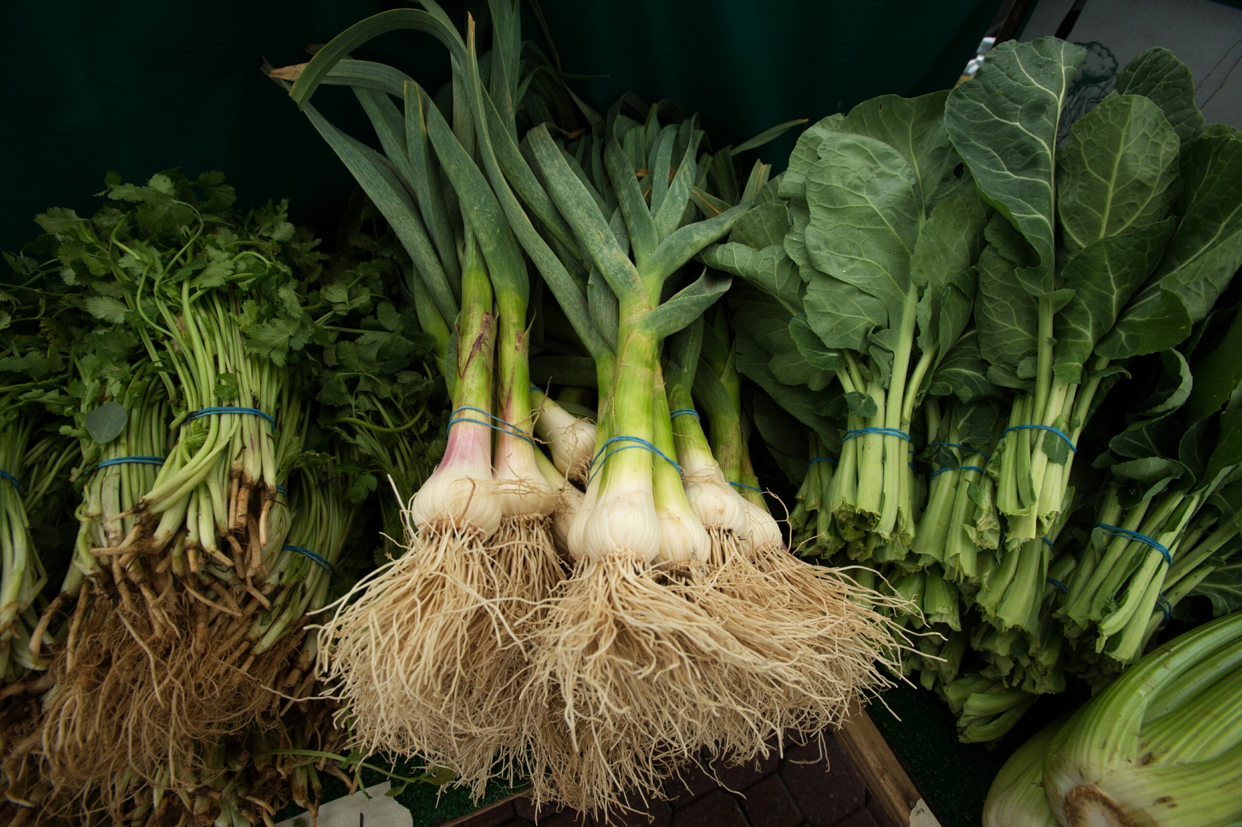 Senate Bill Offers a Pathway to Sustain Local Food Purchasing Program