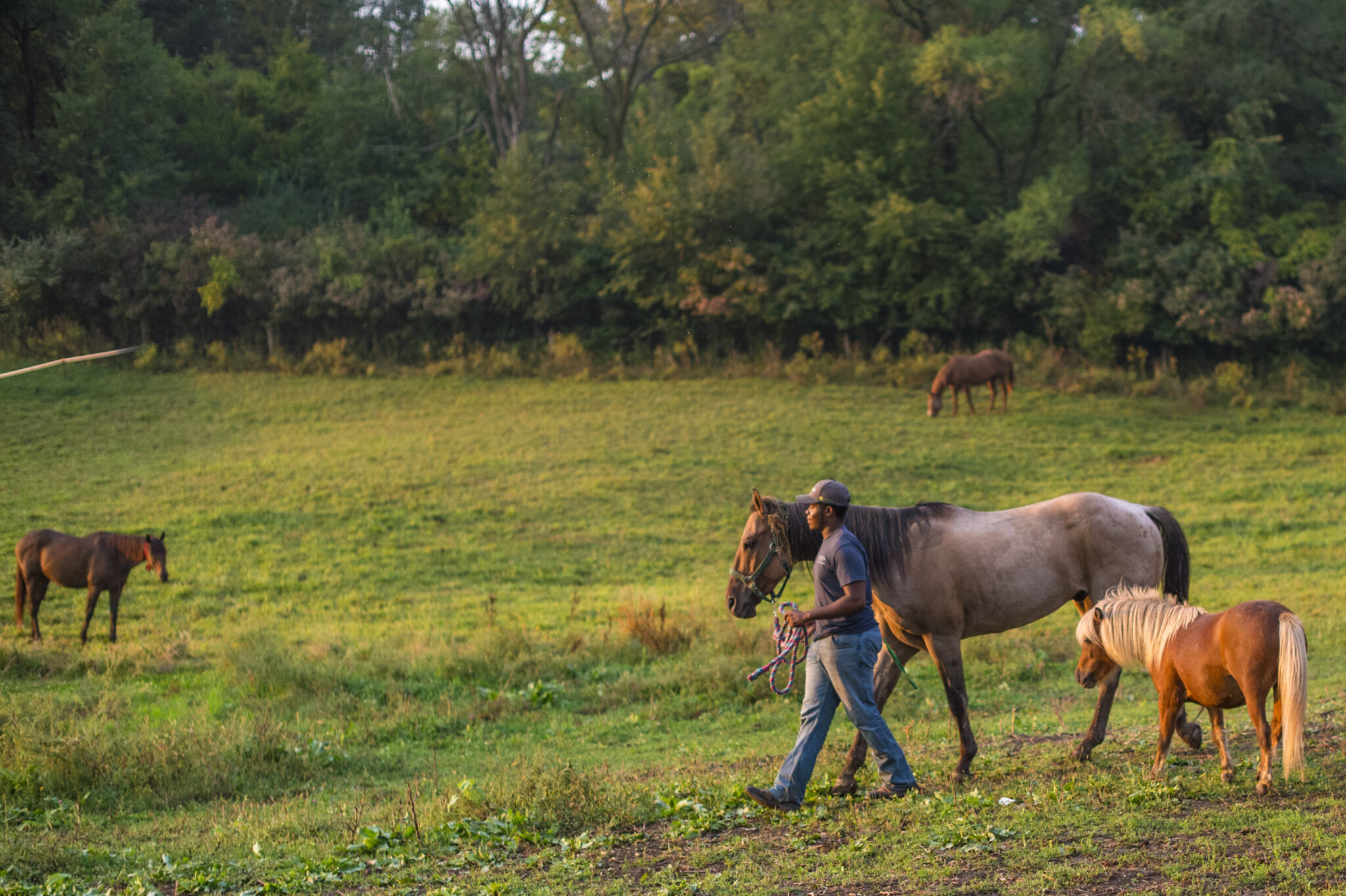 Funding Available to Support Underserved Farmers: A Look at USDA's 2501 ...