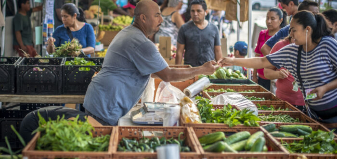 Apply Today: USDA LAMP Funding Window Is Open