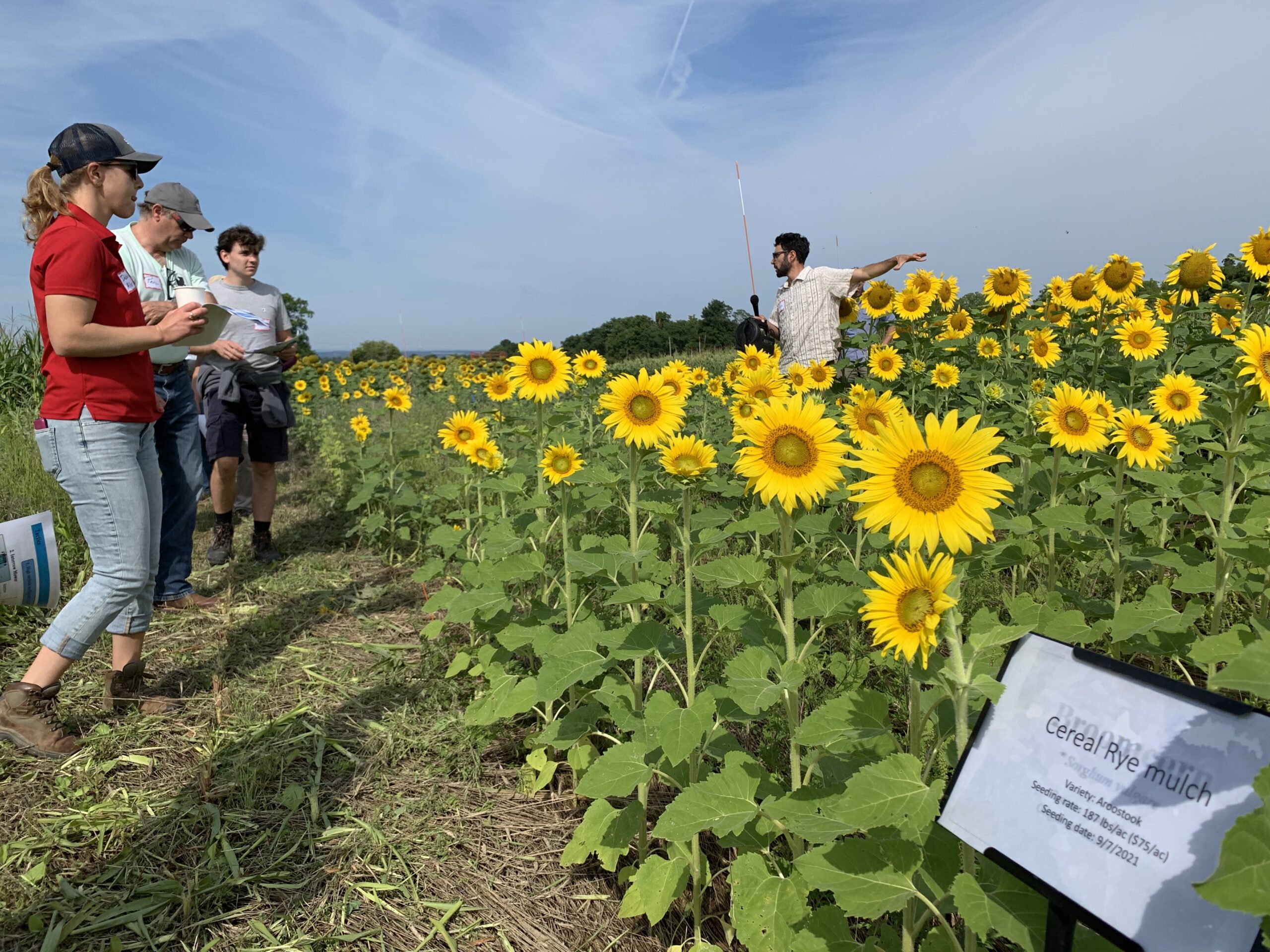 Guest Post: Is the Future of Organic Food at Risk? Research Funding Holds the Answer
