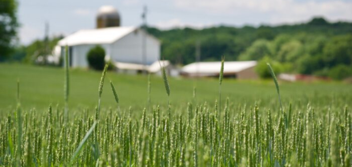 NSAC Counters DOE Claim: Climate Change is Harming, Not Helping, US Agriculture