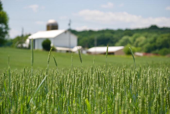 NSAC Counters DOE Claim: Climate Change is Harming, Not Helping, US Agriculture