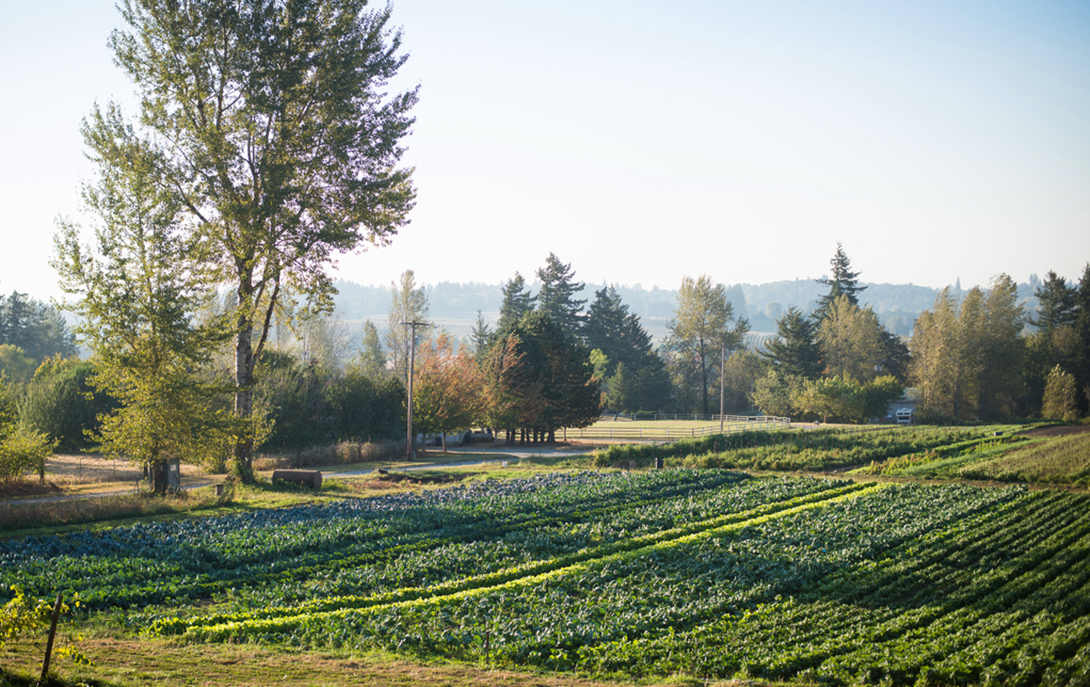 Keeping Farmers on the Land