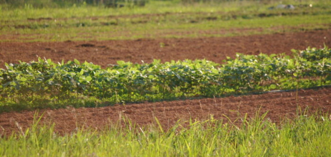 Voices from the Field: The Real Costs of the Government Shutdown