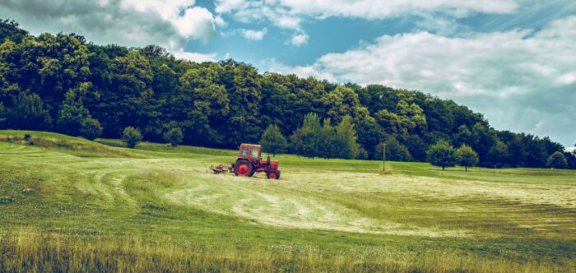 Unpacking the House Farm Bill: Part 3