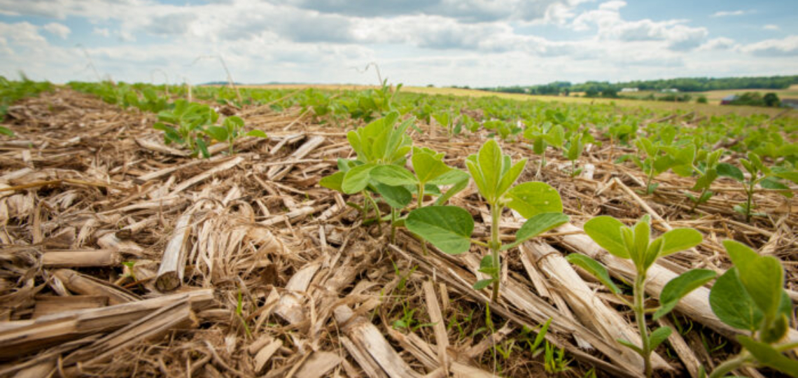 Unpacking the House Farm Bill: Part 4