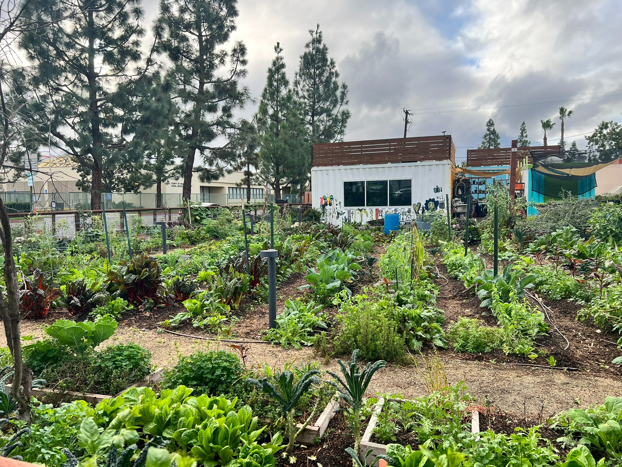 USDA Sows Trust and Farm Success in Urban Communities